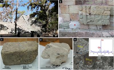 Bacterial Diversity Evolution in Maya Plaster and Stone Following a Bio-Conservation Treatment